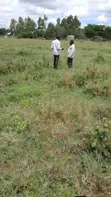 Ngong Prime Plots for Sale - 1 Acre - 1
