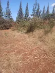 Ngong Prime Plots for Sale - 1 Acre - 4