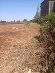 Ngong Prime Plots for Sale - 1 Acre - 5