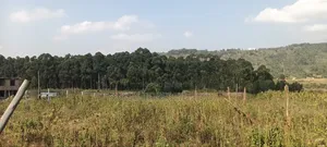 Ekari 2 za Ardhi Ngoirubi Thigio