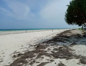 Ekari Moja ya Ardhi Galu Diani