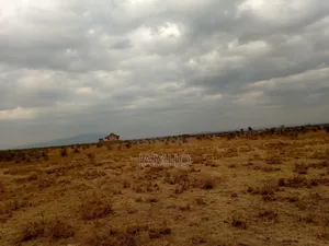 Shamba la Mwalimu Ruiru Mashariki