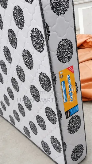 Morning Glory Foam Branded Mattress 10 Inches, 5x6 Quilted