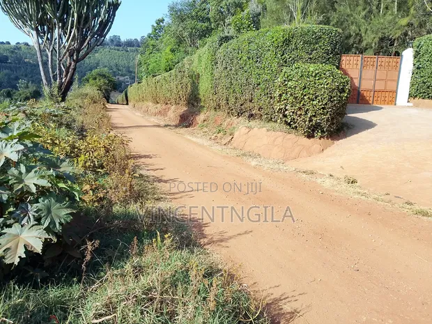 Mua Hills Prime 1.5 Acres Developed Farm - 1