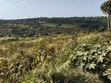 Mua Hills Prime 1.5 Acres Developed Farm - 2