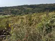Mua Hills Prime 1.5 Acres Developed Farm - 3