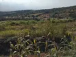 Mua Hills Prime 1.5 Acres Developed Farm - 4