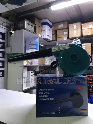 Lion Electric Blower 700W