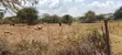 Plot 50/100 in Emining Center, Baringo County - 2