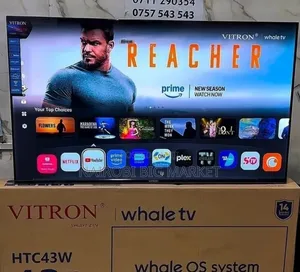 Vitron Whale 43 Inch Full HD TV with Whalecast