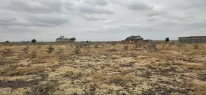 50x100 Plot for Sale in Mwalimu Farm, 500m from Tarmac