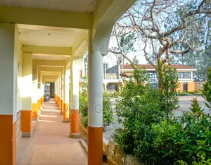 Private Primary & Secondary Schools for Sale/Lease