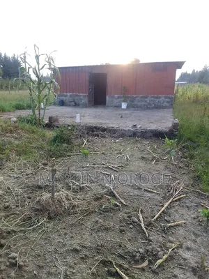 Half Acre Plot Kwa Ngothi, Ndunyu Njeru