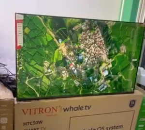 Whale 50 Inch TV with AV Input and LAN