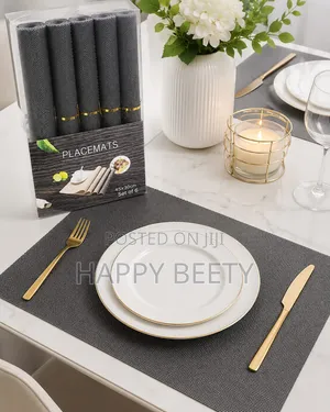 Beautiful Classy Table Placemats (Set of 6)