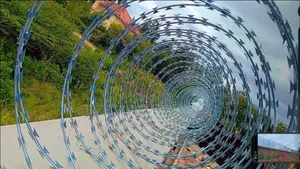 Double Galvanized Razor Wire - 10m