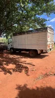 Isuzu NMR Truck 2022 White - 5