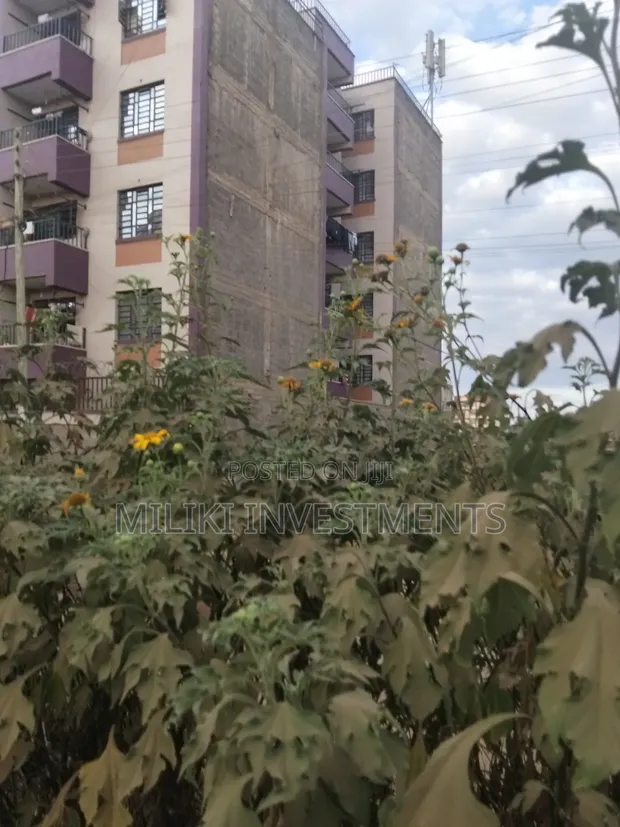 40x80 Ft Plots for Sale in Thika-Makongeni, Nanasi Estate - 1