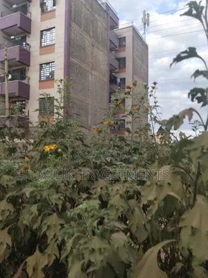 Vipande vya 40x80 Ft Vinauzwa Thika-Makongeni, Nanasi Estate