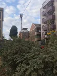 Vipande vya 40x80 Ft Vinauzwa Thika-Makongeni, Nanasi Estate - 3