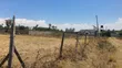 1/4 Acre Plots Near Nanyuki Town - 2