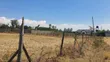 1/4 Acre Plots Near Nanyuki Town - 4
