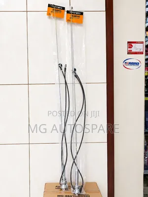 Universal Car Radio Antenna