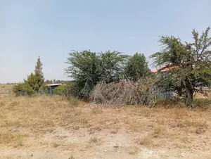 Empakasi Gardens Prime Plots - Ready to Develop