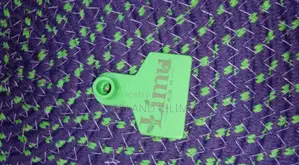 Customized Green Goat Tags
