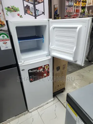 Friji ya Milango Miwili ya Ramtoms Inayookoa Nishati