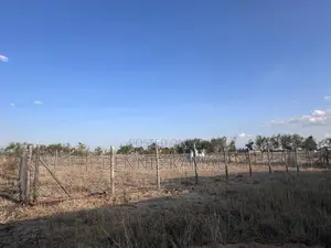 Kiwanja 50x100 Juja Farm