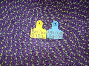 Vitambulisho Vidogo vya Namba Visivyofifia vya Laser Print