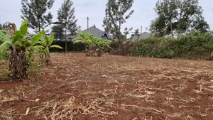 Kenol Prime 40x80 Plot for Sale