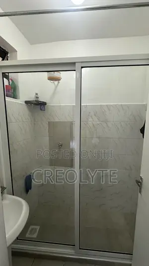 Creolyte Aluminium Sliding Shower Enclosure - Ufungaji Nairobi