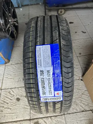 Goddard Tires 225/45R19