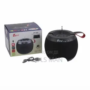 Rechargeable Wireless Bluetooth Speaker FP-228 with Radio, USB, Aux