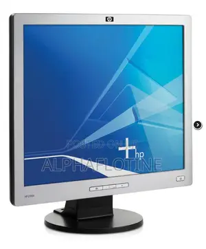 HP L1906 Computer Monitor 19" 1280x1024