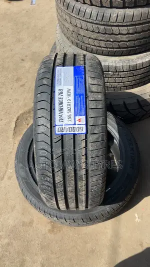 Goodard 255/50R19 Tire