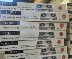 Jiko la Gesi la Rebune Lenye Vichwa 2