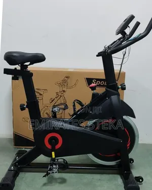 Baiskeli ya Mazoezi ya Euromax Fitness/Spin Bike