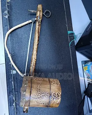 Traditional African Single-String Bowed Instrument