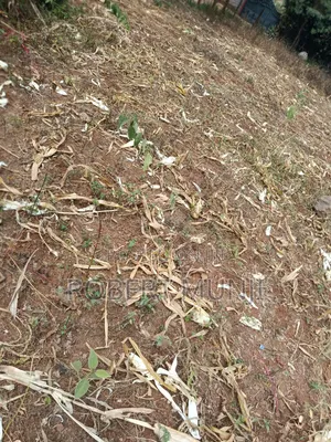 Shamba la Robo Eka Linauzwa Kibiko