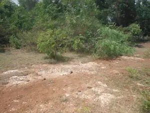 Eka 1 ya Ardhi Inauzwa Msambweni - Dakika 2 Kutoka Baharini