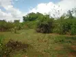 Eneo la Eka 12 kwa Ajili ya Kuuzwa Msambweni - 2