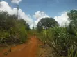 Eneo la Eka 12 kwa Ajili ya Kuuzwa Msambweni - 4