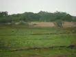 Eneo la Eka 2 Karibu na Kiwanda cha Sukari Ramisi, Kaunti ya Kwale - 1