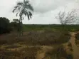 Eneo la Eka 2 Karibu na Kiwanda cha Sukari Ramisi, Kaunti ya Kwale - 2