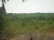 Eneo la Eka 2 Karibu na Kiwanda cha Sukari Ramisi, Kaunti ya Kwale - 4