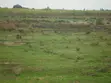 Eneo la Eka 2 Karibu na Kiwanda cha Sukari Ramisi, Kaunti ya Kwale - 5