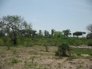 Shamba la Ekari 20 Kidimu, Kaunti ya Kwale